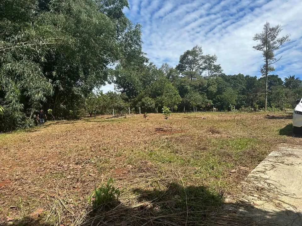 Lô đất 2100m² Suối Tre Long Khánh 1 tỷ 9 - Ảnh thu nhỏ 5