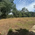 Lô đất 2100m² Suối Tre Long Khánh 1 tỷ 9 - Ảnh thu nhỏ 5