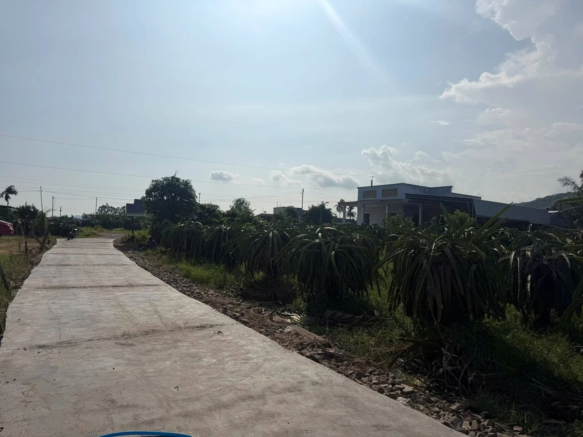 Bán cặp đất liền kề 160m2 Km19 Hàm Thuận Nam 415 triệu - Ảnh thu nhỏ 5