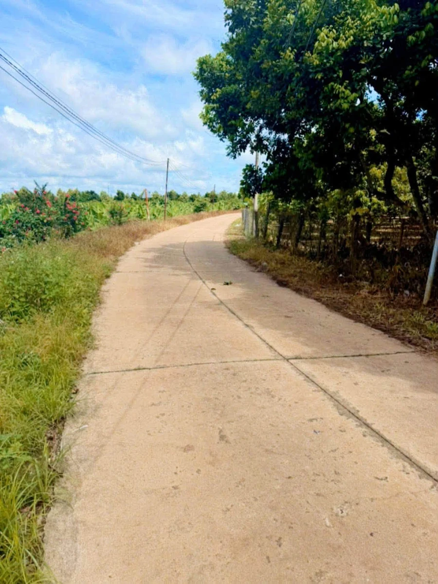 Bán lô đất 600m² thổ cư 100% mặt tiền Phú Vinh - Ảnh thu nhỏ 2