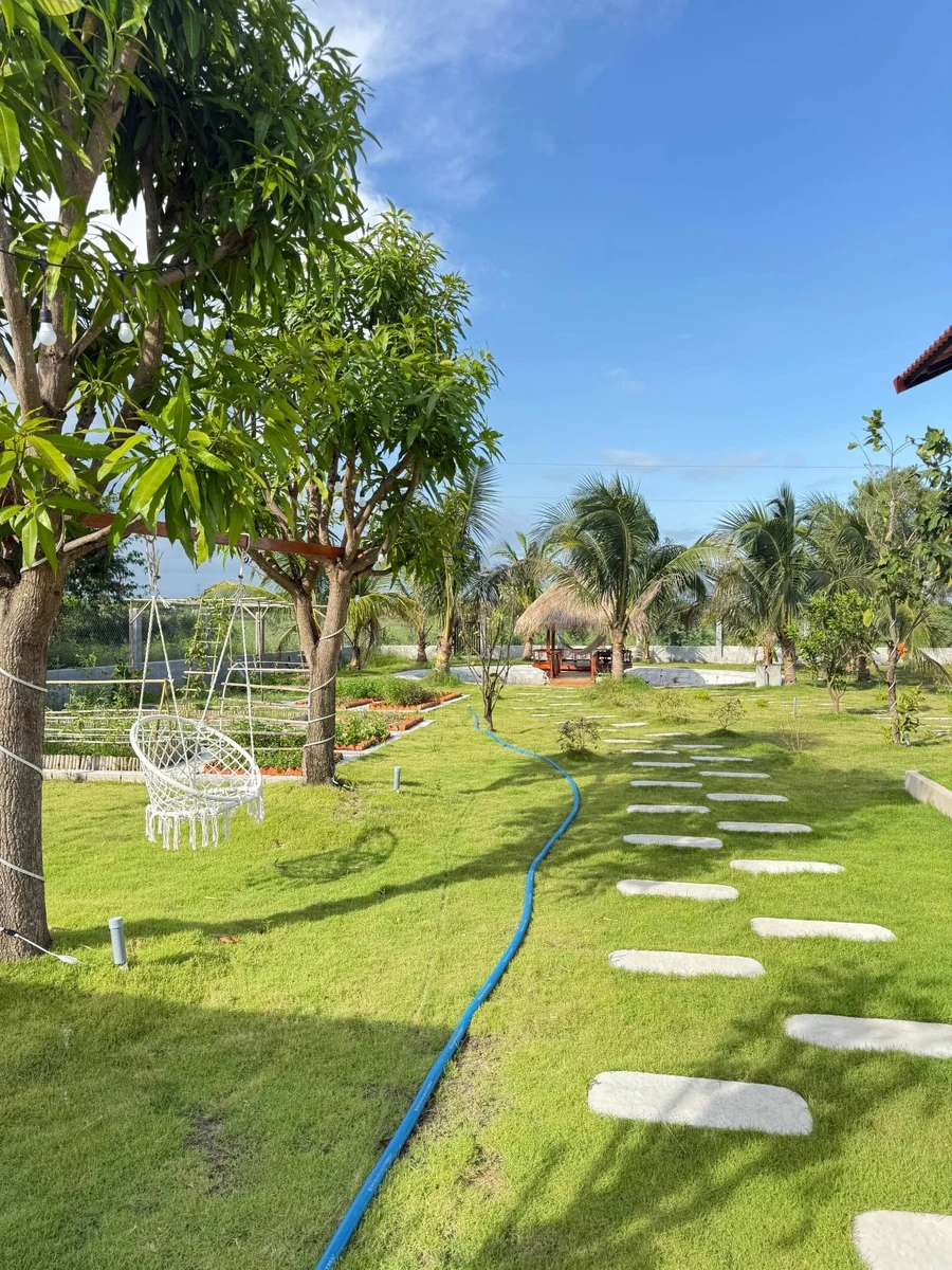 Bán nhà vườn 1.606m² Phan Thiết 1 tỷ 790 triệu - Ảnh thu nhỏ 4