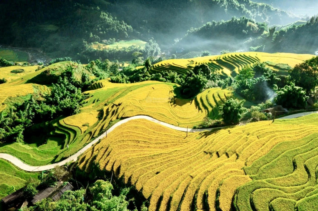 Bán đất mặt đường tỉnh lộ 152 xã Tả Van, Lào Cai - Ảnh thu nhỏ 2