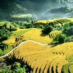 Bán đất mặt đường tỉnh lộ 152 xã Tả Van, Lào Cai - Ảnh thu nhỏ 2
