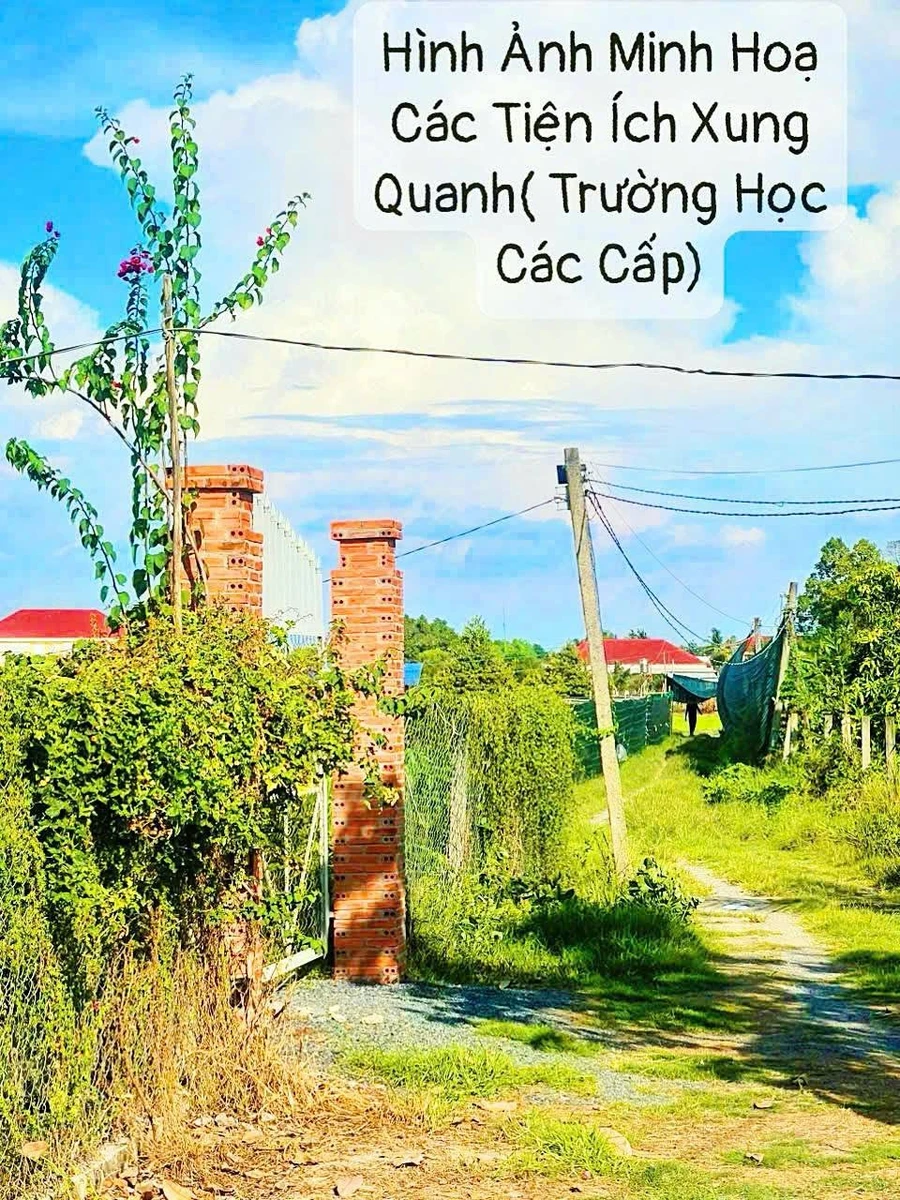 Bán đất 10.844m2 hai mặt tiền đường tại xã Long Khánh, Bến Cầu, Tây Ninh - Ảnh thu nhỏ 2