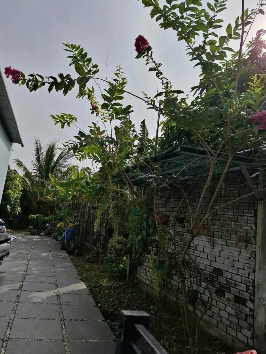 Bán nhà vườn 925m² Trương Định Rạch Giá 4 tỷ - Ảnh thu nhỏ 5