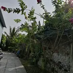 Bán nhà vườn 925m² Trương Định Rạch Giá 4 tỷ - Ảnh thu nhỏ 5