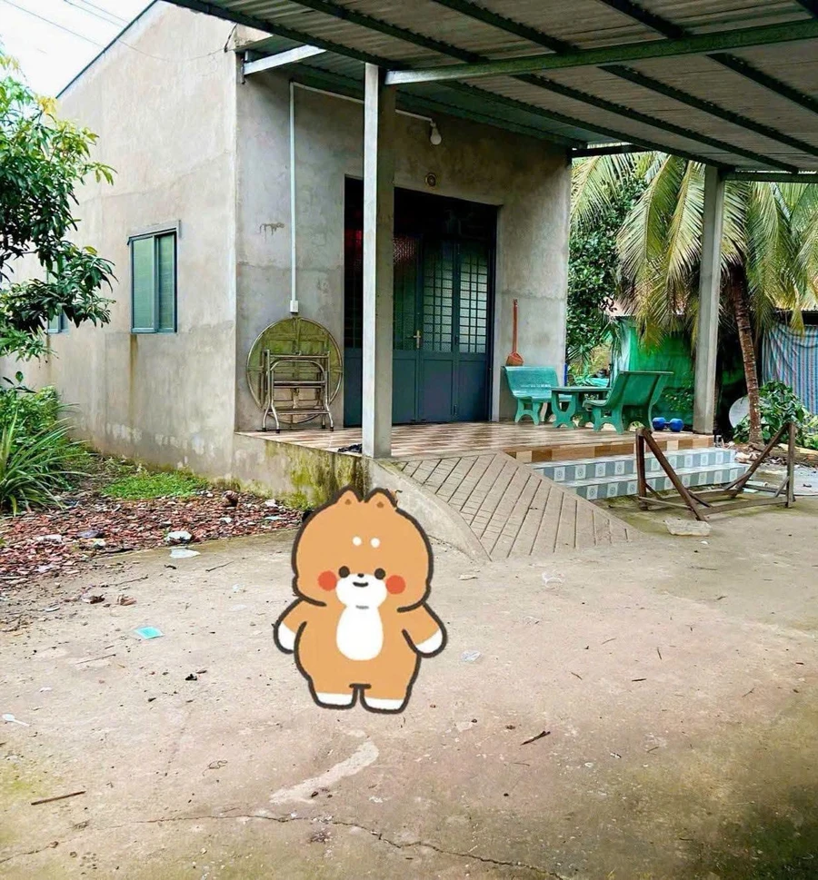 Bán nhà và đất 600m² Bến Tre 650 triệu - Ảnh 1