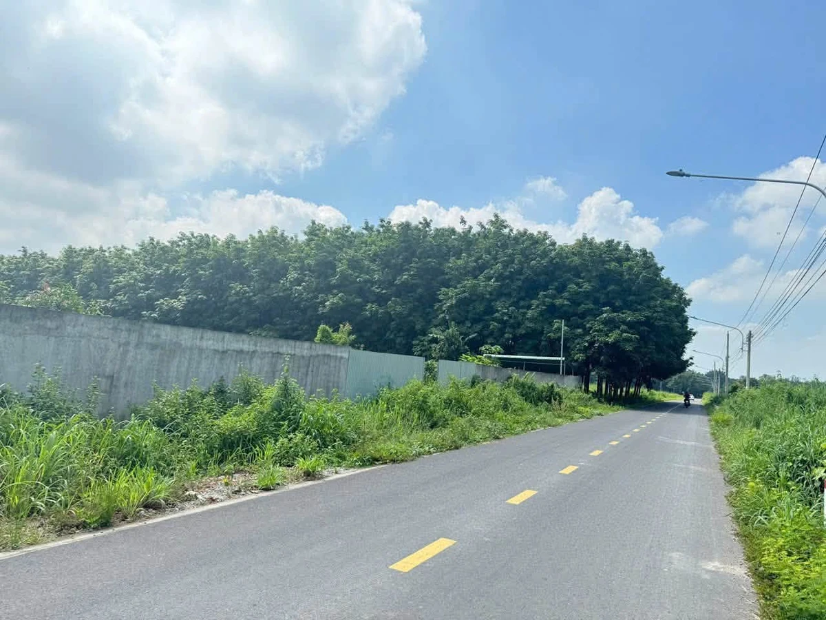 Bán đất mặt tiền Chánh Phú Hoà 3616m2 giá 9.04 tỷ - Ảnh thu nhỏ 2