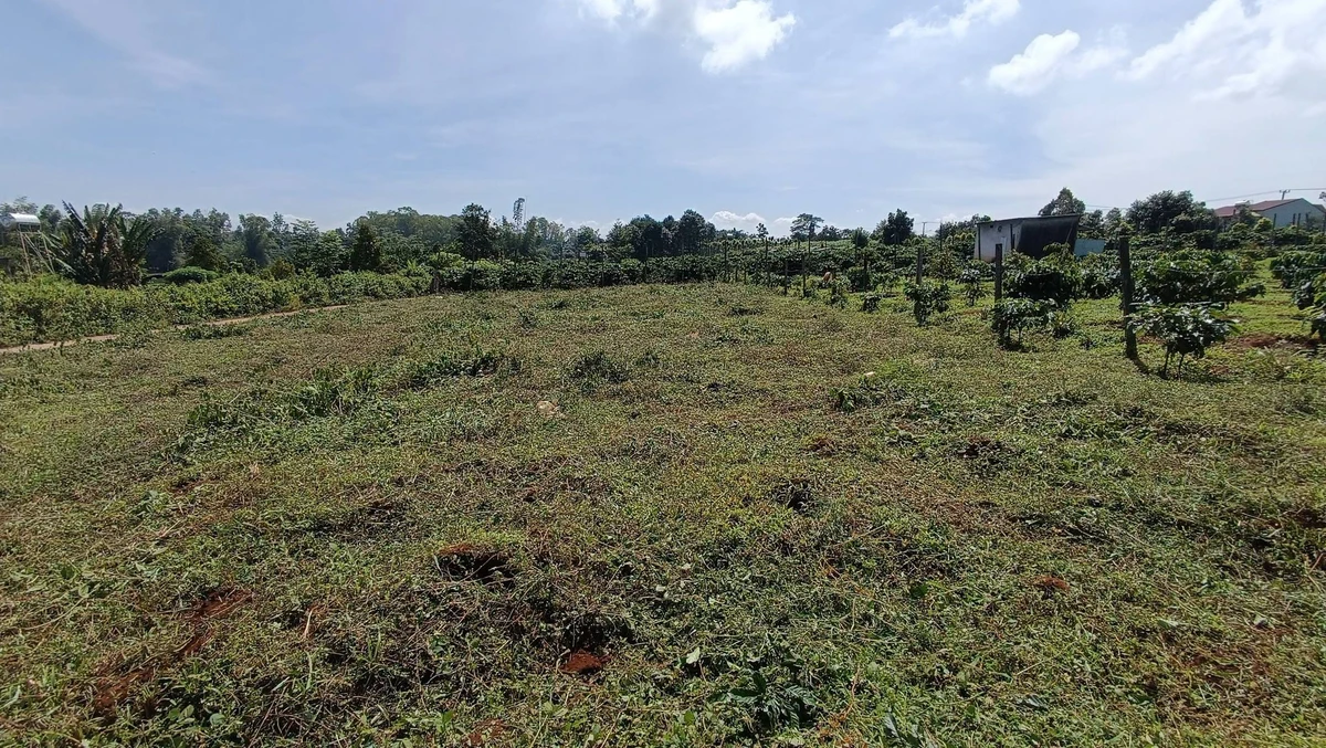 Bán lô đất nền 5m × 28m Đào Duy Từ 140m², 3xx triệu - Ảnh thu nhỏ 2