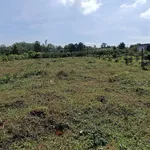 Bán lô đất nền 5m × 28m Đào Duy Từ 140m², 3xx triệu - Ảnh thu nhỏ 2