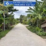 Bán đất mặt tiền Mỹ Thạnh 1.336m² tại Giồng Trôm, Bến Tre - Ảnh thu nhỏ 1