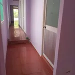 Bán đất nền full thổ cư 312m2 tặng nhà cấp 4 Tây Ninh - Ảnh thu nhỏ 4
