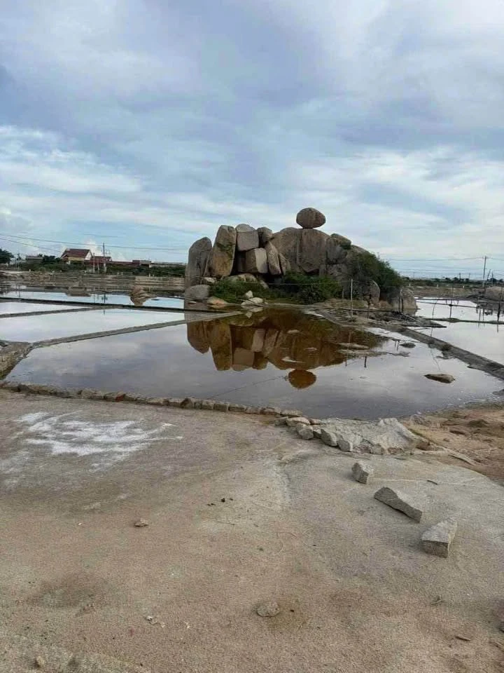 Bán đất ruộng muối Khánh Tường 3.646m² giá 1,1 tỷ/1000m² - Ảnh thu nhỏ 2