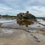 Bán đất ruộng muối Khánh Tường 3.646m² giá 1,1 tỷ/1000m² - Ảnh thu nhỏ 2