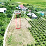 Bán đất 157m mặt tiền Lê Duẩn, Phan Thiết 650 triệu - Ảnh thu nhỏ 2