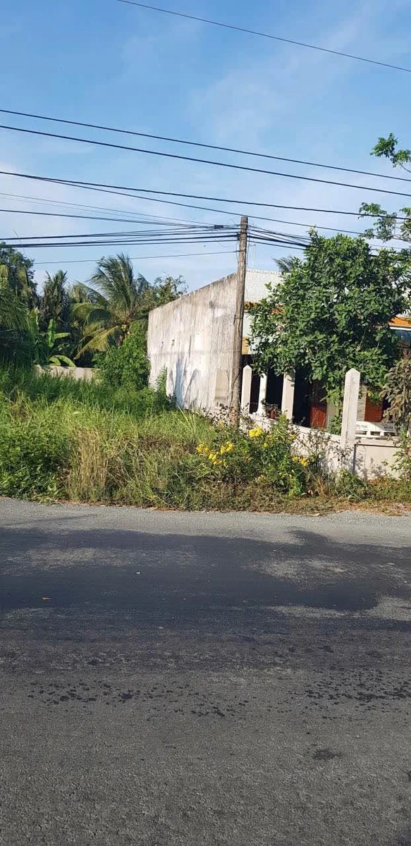 Bán đất mặt tiền 156.6m² Mái Tân Trụ Long An 1 tỷ 50 - Ảnh thu nhỏ 2