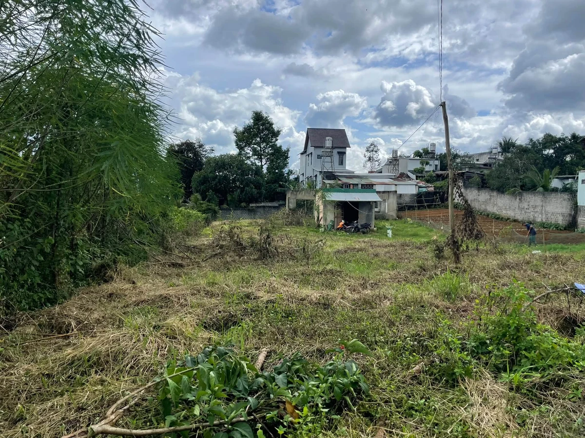 Bán đất 1.000m² nở hậu, có 225m² thổ cư, hẻm Lê Phụng Hiểu, Bảo Lộc - Ảnh thu nhỏ 5