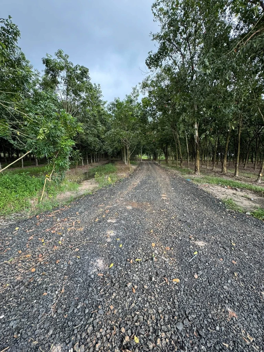Bán đất 500m2 Bình Minh Tây Ninh 159 triệu - Ảnh thu nhỏ 2