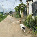 Bán lô đất 235m² Thạnh Mỹ, Đơn Dương 1,4 tỷ - Ảnh thu nhỏ 2