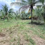 Bán gấp 1336m2 đất mặt tiền lộ liên xã Mỹ Thạnh, Giồng Trôm giá 1,85 tỷ - Ảnh thu nhỏ 5