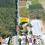 Bán đất thổ cư 50m² Cao Bá Quát, Bình Dương 760 triệu - Ảnh thu nhỏ 2
