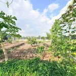 Bán đất vườn 1000m2 ngang 14m, Phú Giáo Bình Dương - Ảnh thu nhỏ 3