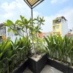 Bán nhanh trong tháng chỉ 16,5 tỷ, ngay mặt tiền doanh thu 90tr/tháng - Ảnh thu nhỏ 9