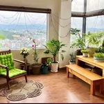 Bán homestay 8 phòng + sân thượng Đà Lạt 80m² - 6,2 tỷ - Ảnh thu nhỏ 5