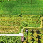 980tr, 1000m2 có thổ cư gần hết đất, gần dự án KCN Hiệp Thạnh, đường bê tông - Ảnh thu nhỏ 14