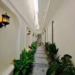 Bán nhà mặt tiền đường Thành Thái, Rạch Giá, 7,25x22,7m, trệt 2 lầu, 4PN, giá 5,49 tỷ - Ảnh thu nhỏ 4