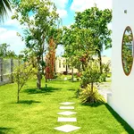 Bán nhà vườn 1.600m² Hàm Chính, Bình Thuận, gần Phan Thiết - Ảnh thu nhỏ 3