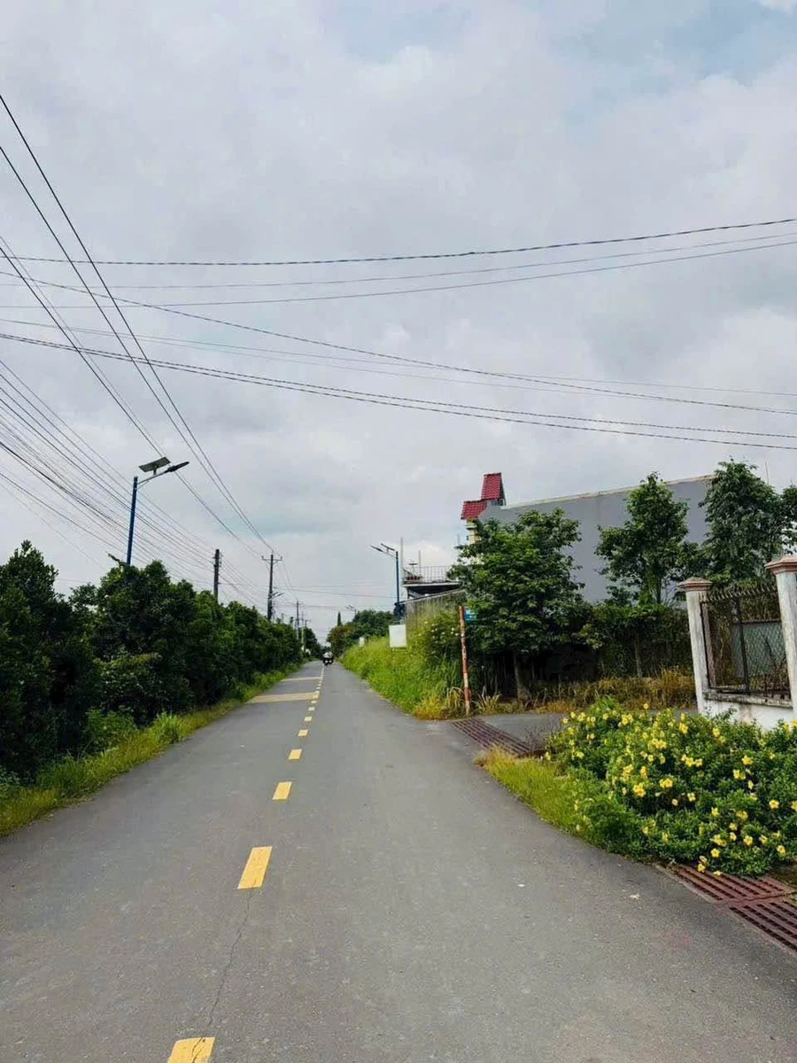 Bán đất Tân Triều 5x20m (100m²) gần Biên Hòa 800 triệu - Ảnh thu nhỏ 2