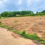 Bán nền đất 175m2, mặt tiền bê tông tại Định Quán, Đồng Nai - Ảnh thu nhỏ 3