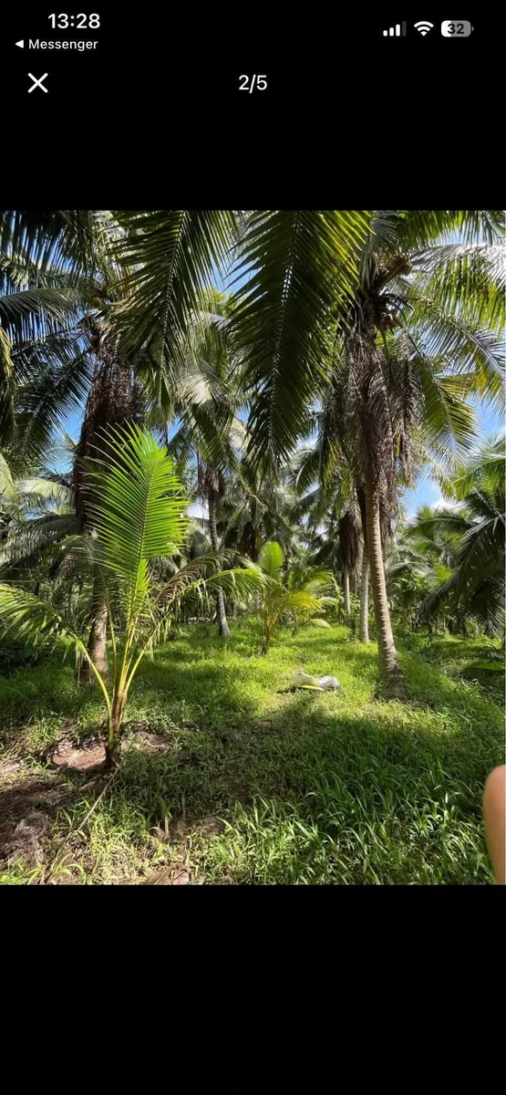 Bán đất Tân Thanh Tây 1500m², 300m thổ cư 690 tỷ - Ảnh thu nhỏ 4