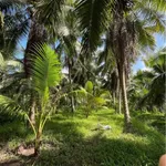 Bán đất Tân Thanh Tây 1500m², 300m thổ cư 690 tỷ - Ảnh thu nhỏ 4