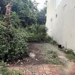 Bán đất mặt tiền Mạc Đỉnh Chi, 144m2, Thủ Dầu Một - Ảnh thu nhỏ 1