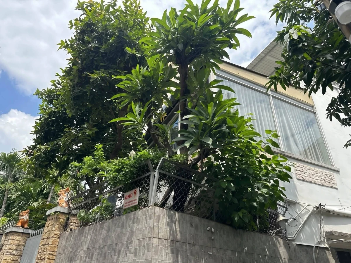 Bán nhà Lê Quang Định 75m² ngang 5m, 8,7 tỷ - Ảnh thu nhỏ 2