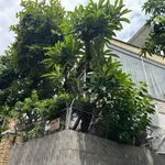 Bán nhà Lê Quang Định 75m² ngang 5m, 8,7 tỷ - Ảnh thu nhỏ 2