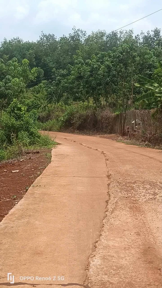 Bán lô đất vườn 4 sào gần Bình Long, Bình Phước - Ảnh thu nhỏ 2
