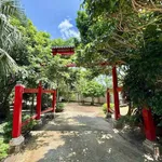 Bán biệt thự nhà gỗ quý 1.900m2 ở Xuyên Mộc 13 tỷ đồng - Ảnh thu nhỏ 2