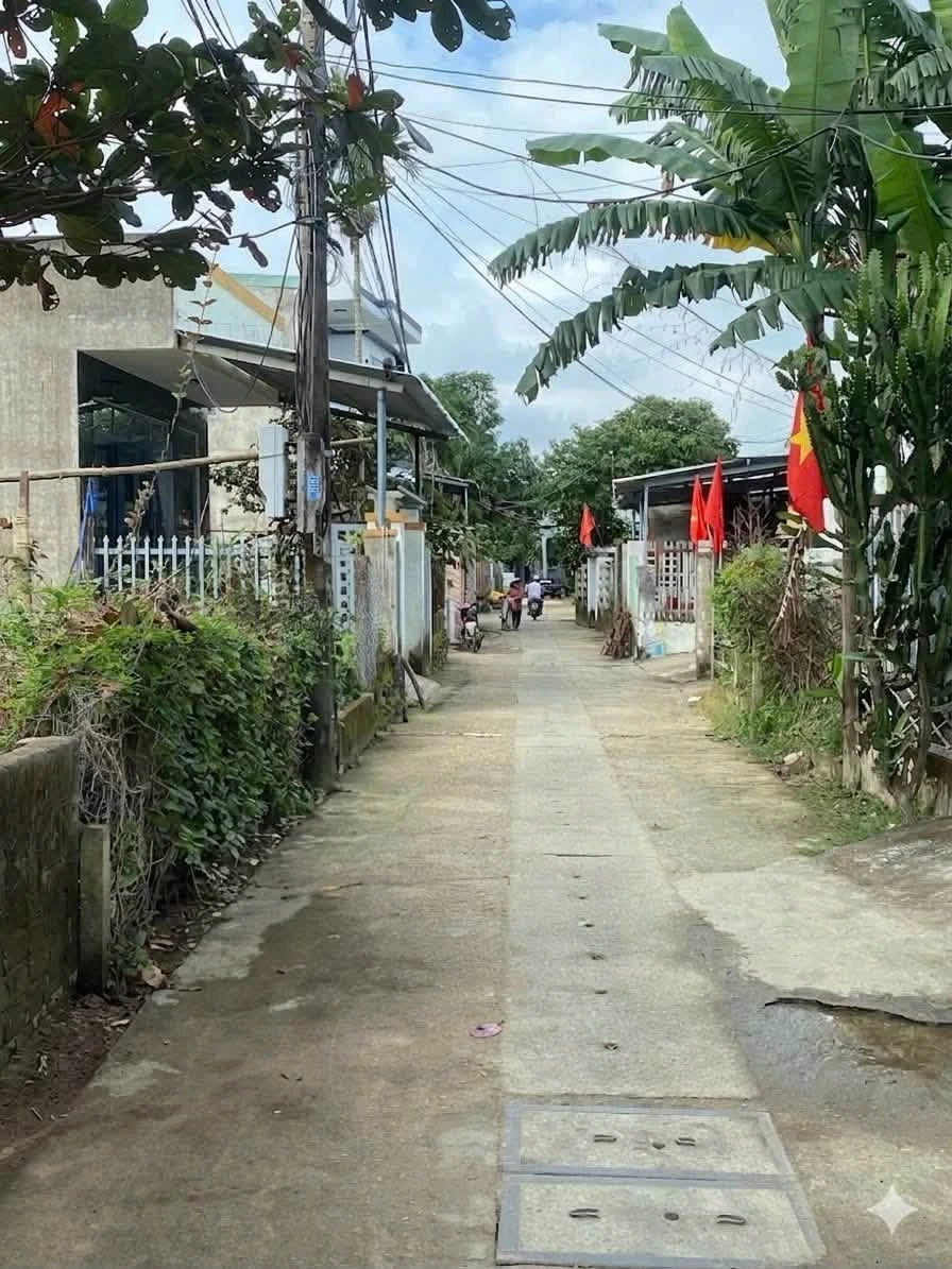 Bán lô đất 100m2 kiệt ô tô thôn Vân Dương 1, Hòa Liên, Liên Chiểu, Đà Nẵng - Ảnh thu nhỏ 4
