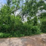 Bán lô đất Trảng Bàng 1.934m² - 3 tỷ - Ảnh thu nhỏ 3