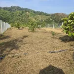 Bán đất giáp Suối Đá lớn - có sẵn thổ cư - mặt tiền nhựa lớn - khu dân cư - Ảnh thu nhỏ 28