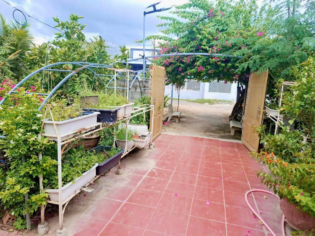 Bán nhà vườn Long Bình Phan Rang Khánh Hòa 4300m2 5 tỷ - Ảnh 1