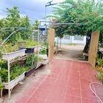 Bán nhà vườn Long Bình Phan Rang Khánh Hòa 4300m2 5 tỷ - Ảnh thu nhỏ 1