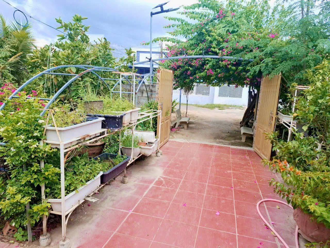 Bán nhà vườn Long Bình Phan Rang Khánh Hòa 4300m2 5 tỷ - Ảnh 1