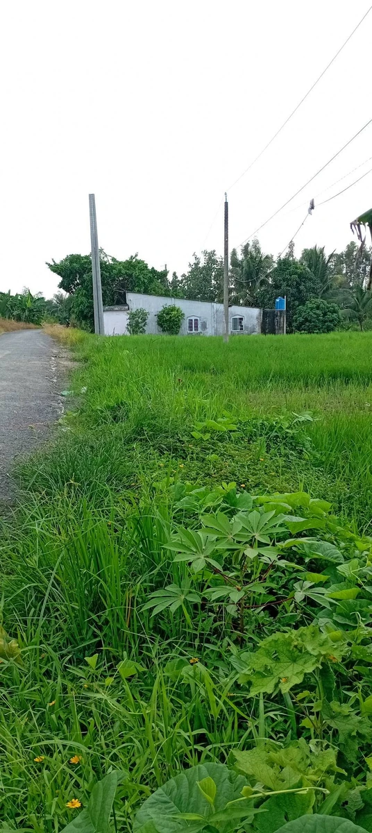 Bán đất nền 173m² Hóc Môn, gần chợ Ngãi Tứ - Ảnh thu nhỏ 4