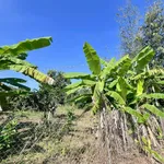 Bán đất view ruộng 500m² giá 750 triệu Long Khánh - Ảnh thu nhỏ 1