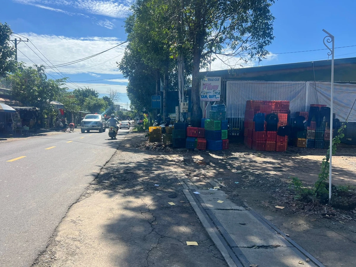 Bán đất mặt tiền 6x28m Tà Lài, Đồng Nai, 1,1 tỷ - Ảnh thu nhỏ 3