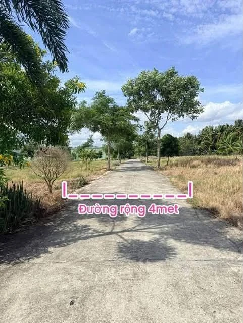 Bán đất Phú Khương, Bến Tre 745m² sổ hồng riêng - Ảnh thu nhỏ 4